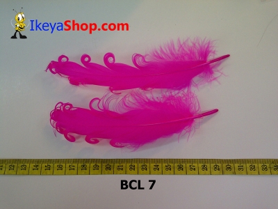 bulu curly BCL 7   feather  large2